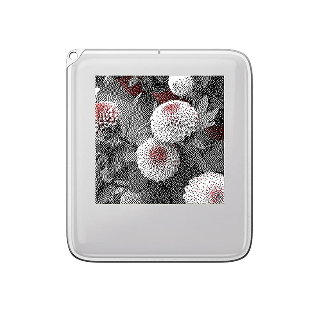 E-Ink Schlüsselanhänger