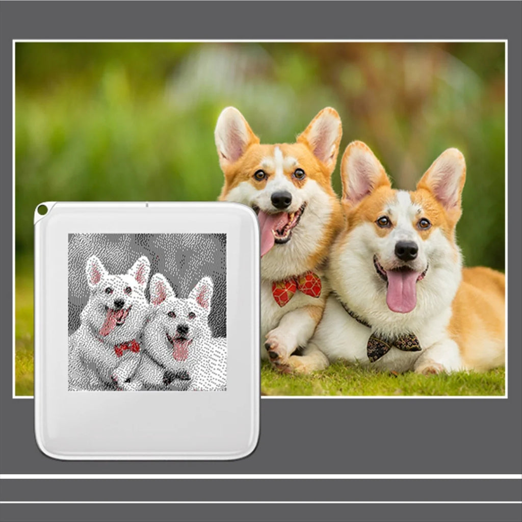 E-Ink Schlüsselanhänger